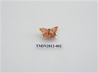 藏品(尺蛾436)的圖片
